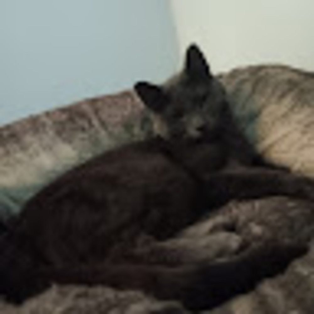 Meet your Posher, Makayla